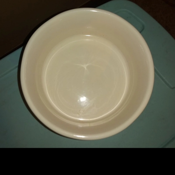 NWT Rae Dunn FELIZ NAVIDOG Ceramic Dog Dish - Picture 2 of 5